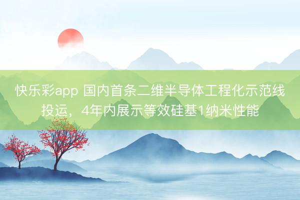 快乐彩app 国内首条二维半导体工程化示范线投运，4年内展示等效硅基1纳米性能