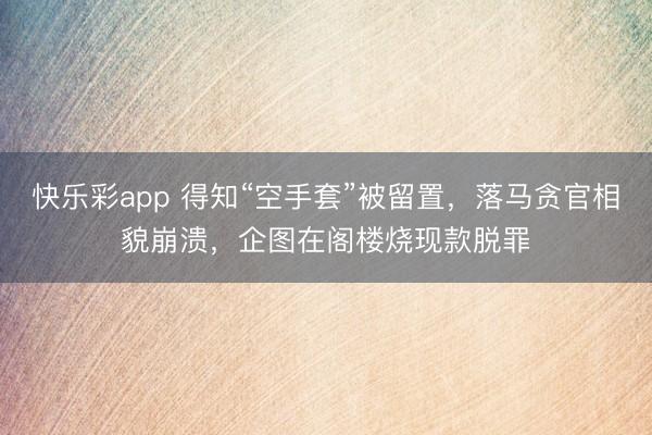 快乐彩app 得知“空手套”被留置，落马贪官相貌崩溃，企图在阁楼烧现款脱罪