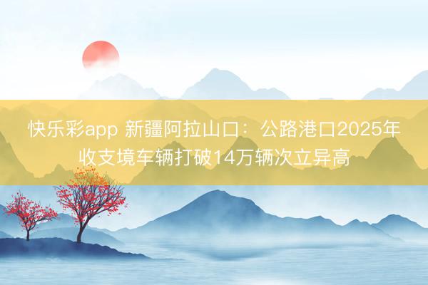 快乐彩app 新疆阿拉山口：公路港口2025年收支境车辆打破14万辆次立异高