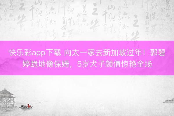 快乐彩app下载 向太一家去新加坡过年！郭碧婷跪地像保姆，5岁犬子颜值惊艳全场