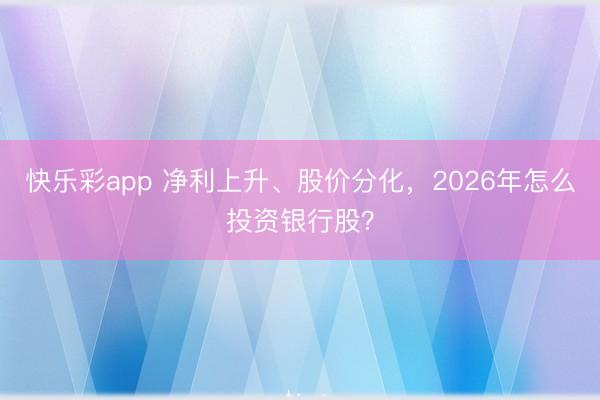 快乐彩app 净利上升、股价分化,2026年怎么投资银行股?
