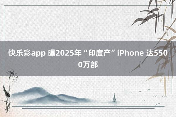 快乐彩app 曝2025年“印度产”iPhone 达5500万部
