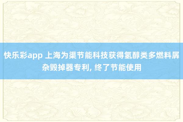 快乐彩app 上海为渠节能科技获得氢醇类多燃料羼杂毁掉器专利, 终了节能使用