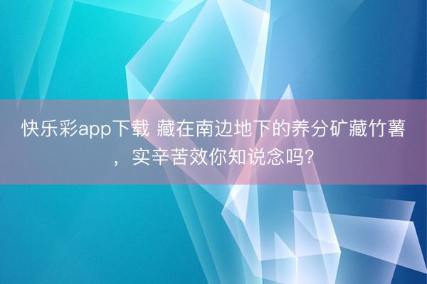 快乐彩app下载 藏在南边地下的养分矿藏竹薯，实辛苦效你知说念吗？