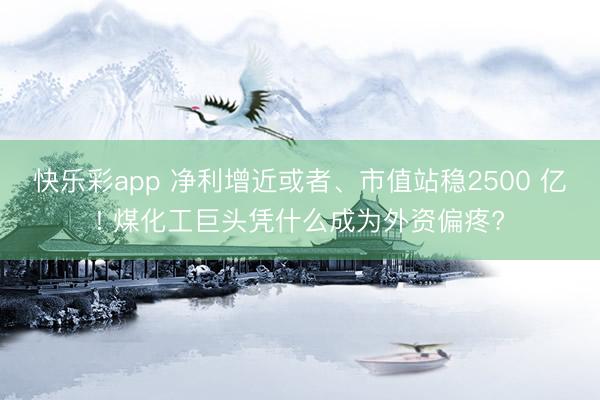 快乐彩app 净利增近或者、市值站稳2500 亿! 煤化工巨头凭什么成为外资偏疼?