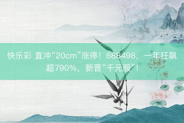 快乐彩 直冲“20cm”涨停！688498，一年狂飙超790%，新晋“千元股”！