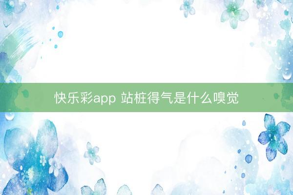 快乐彩app 站桩得气是什么嗅觉
