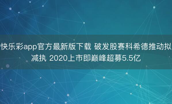 快乐彩app官方最新版下载 破发股赛科希德推动拟减执 2020上市即巅峰超募5.5亿