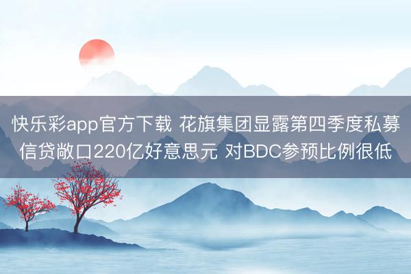 快乐彩app官方下载 花旗集团显露第四季度私募信贷敞口220亿好意思元 对BDC参预比例很低
