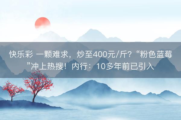快乐彩 一颗难求，炒至400元/斤？“粉色蓝莓”冲上热搜！内行：10多年前已引入