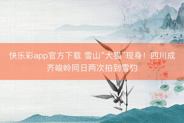 快乐彩app官方下载 雪山“大猫”现身！四川成齐峻岭同日两次拍到雪豹