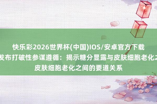 快乐彩2026世界杯(中国)IOS/安卓官方下载 雅诗兰黛集团发布打破性参谋遵循：揭示糖分显露与皮肤细胞老化之间的要道关系