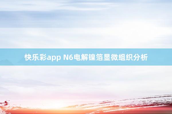 快乐彩app N6电解镍箔显微组织分析