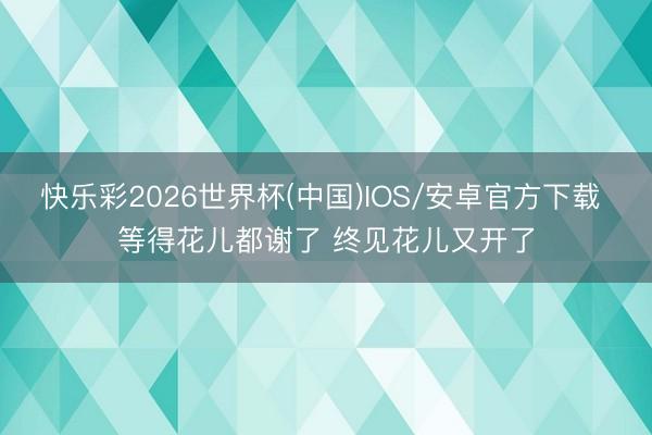 快乐彩2026世界杯(中国)IOS/安卓官方下载 等得花儿都谢了 终见花儿又开了
