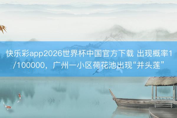 快乐彩app2026世界杯中国官方下载 出现概率1/100000，广州一小区荷花池出现“并头莲”