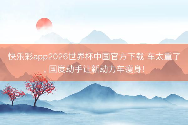 快乐彩app2026世界杯中国官方下载 车太重了, 国度动手让新动力车瘦身!