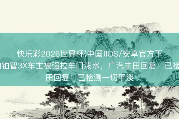 快乐彩2026世界杯(中国)IOS/安卓官方下载 西双版纳铂智3X车主被强拉车门泼水，广汽丰田回复：已检测一切平淡